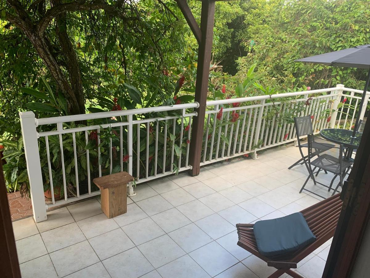 Logement Vacances Gissac Sainte-Anne 외부 사진